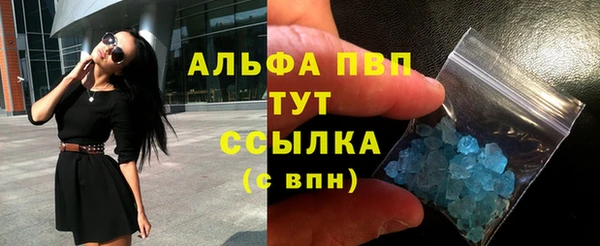 твердый Арсеньев
