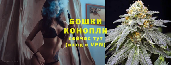 твердый Арсеньев