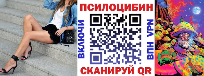 Псилоцибиновые грибы прущие грибы  закладки  Салаир 