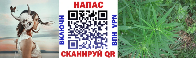Канабис Ganja  Салаир 